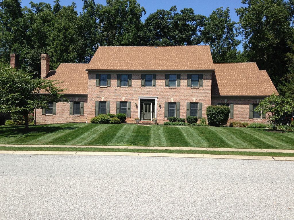 Freshly Mowed Lawn