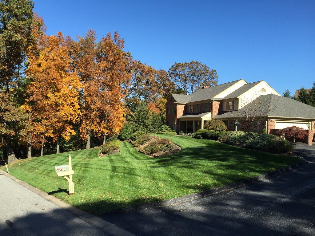 Landscaping