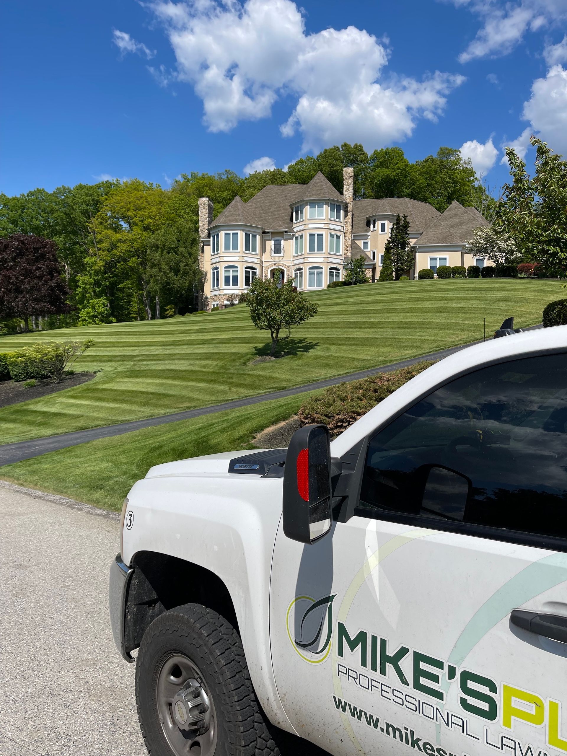 Freshly Mowed Lawn