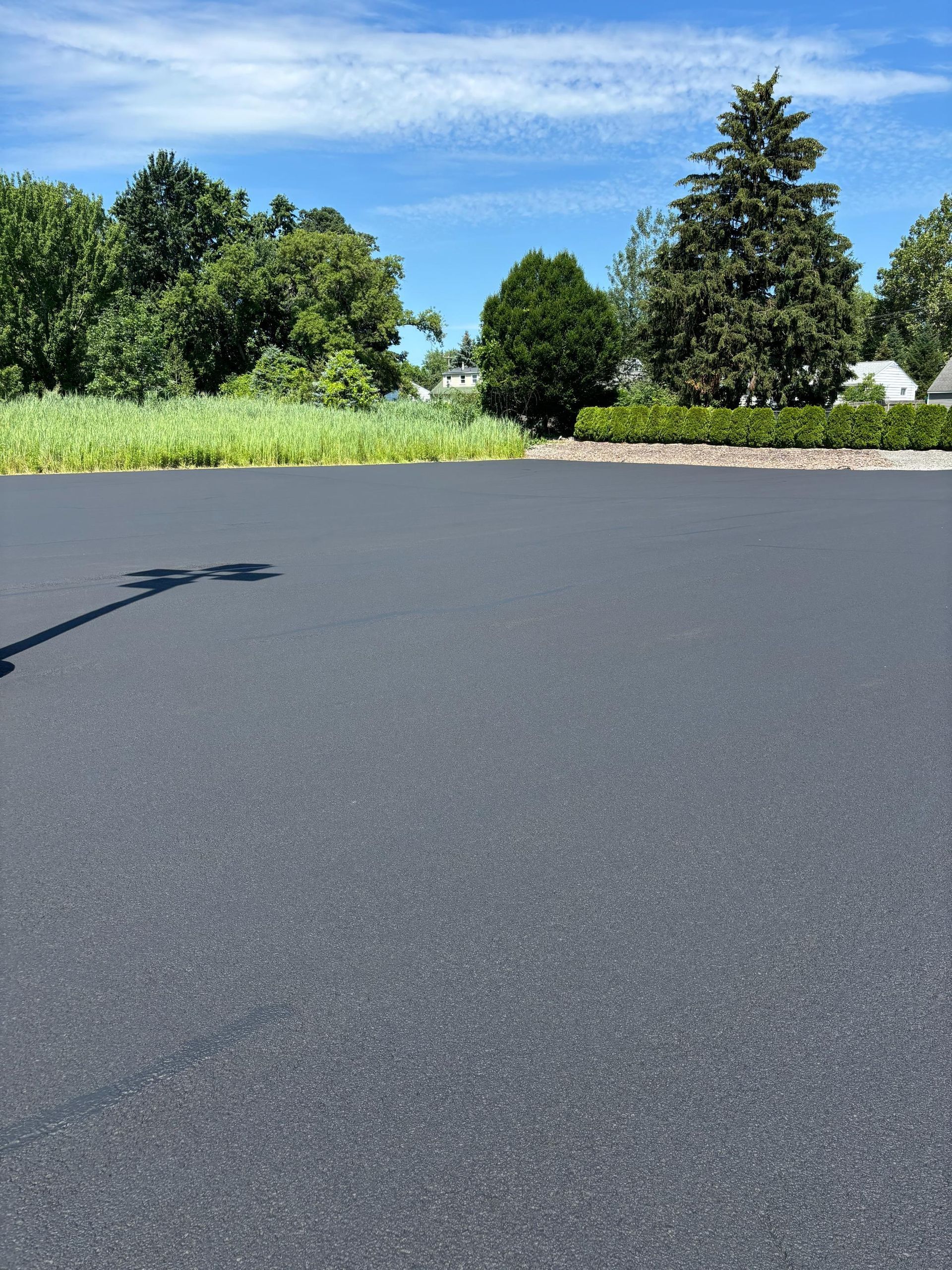 A black asphalt road with trees in the background