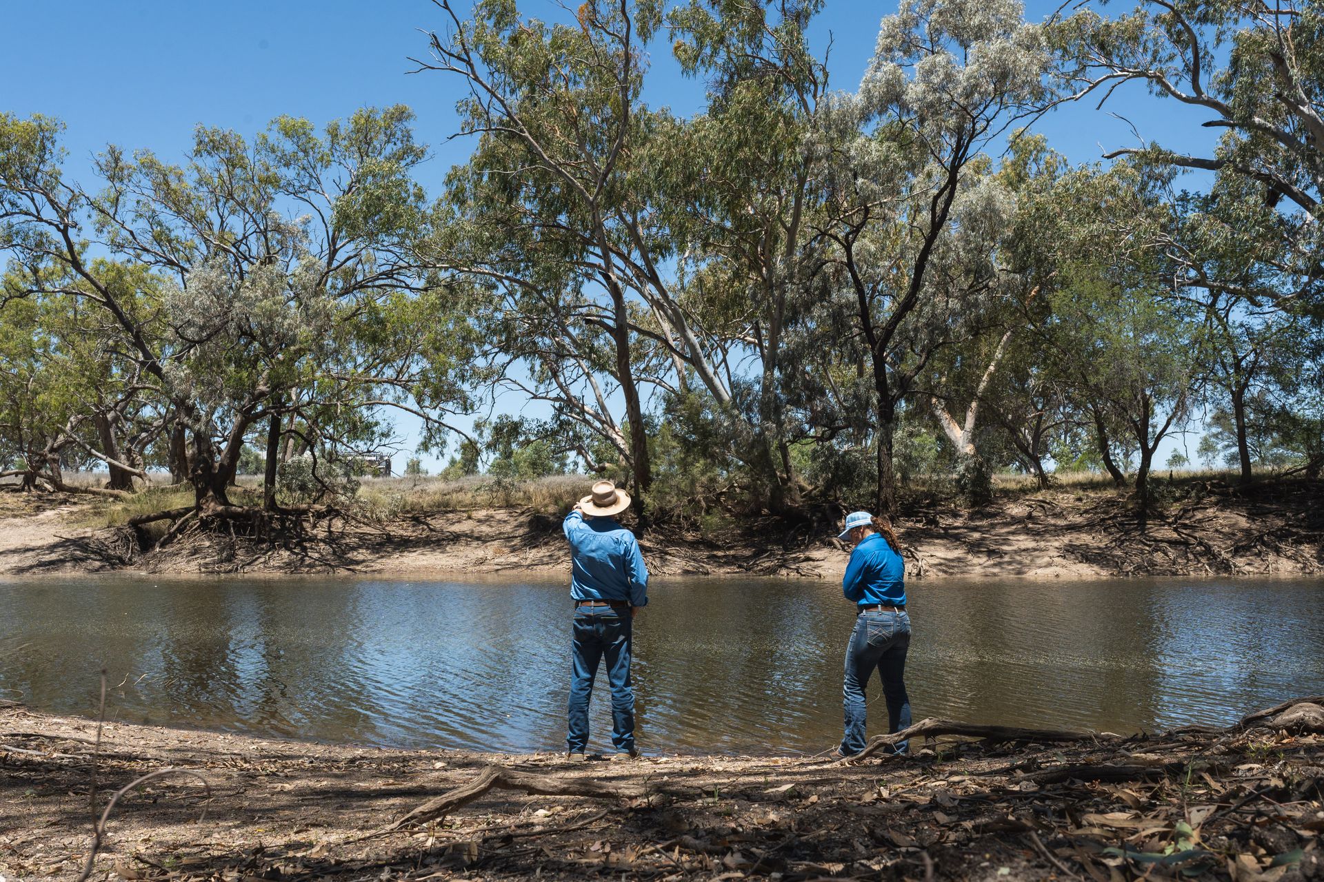 Southern Queensland Landscapes | Natural Resource Management ...