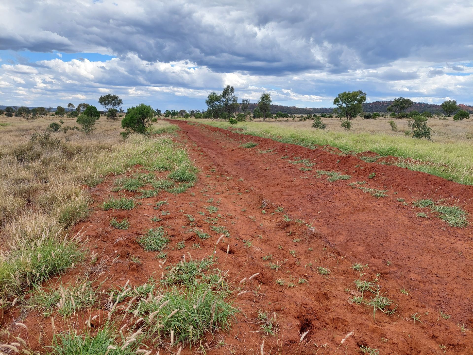 red dirt road on in green grass landscape western Queensland