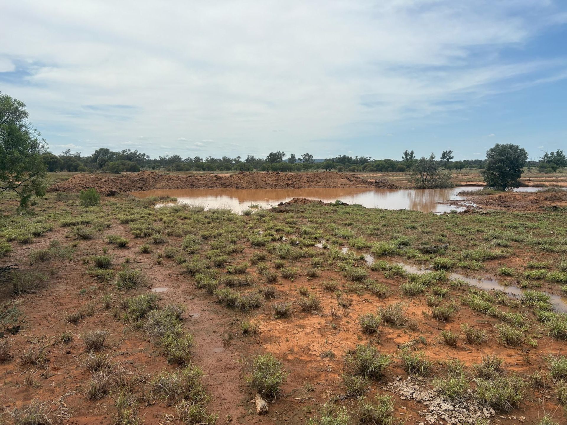 Landscape for erosion control 