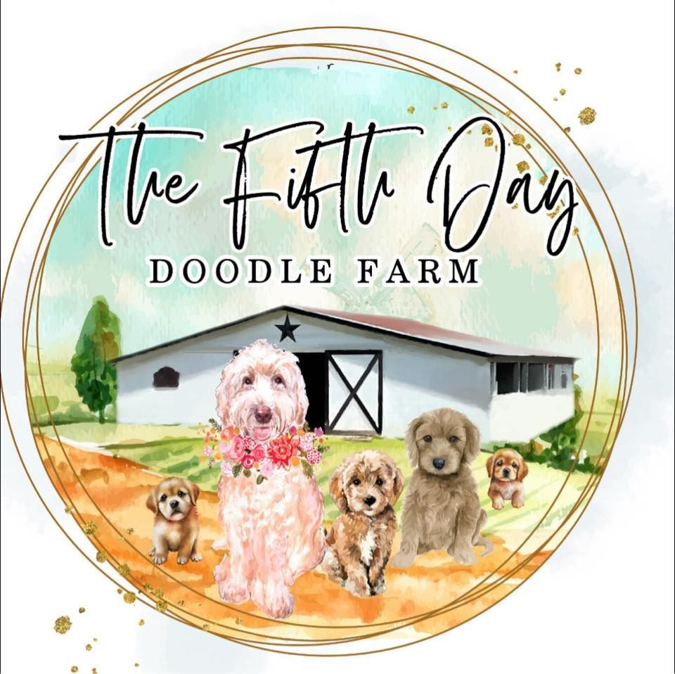 The logo for the fifth day doodle farm shows a group of dogs sitting in front of a barn.