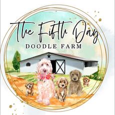 The logo for the fifth day doodle farm shows a group of dogs sitting in front of a barn.