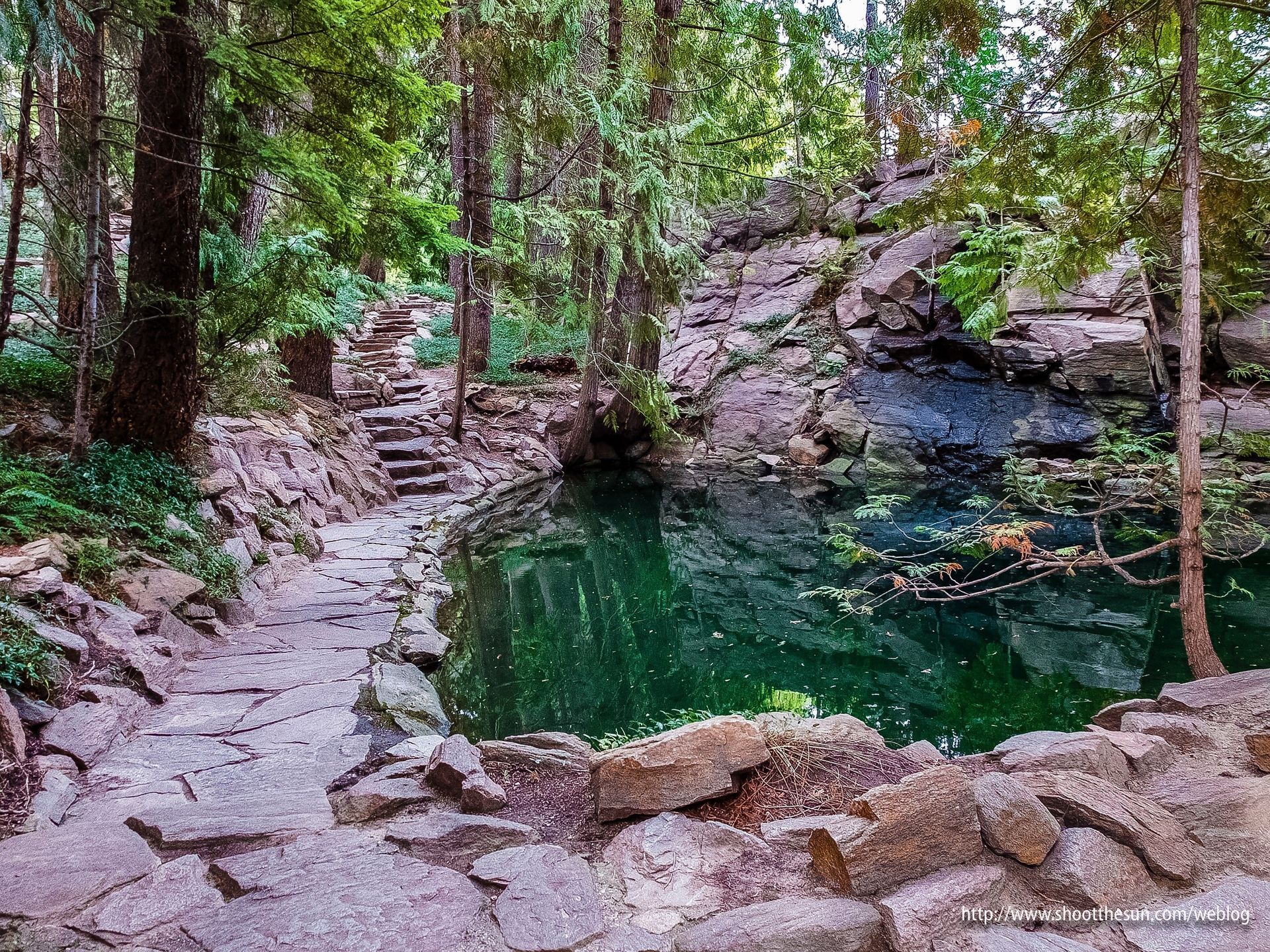 A small pond in the middle of a forest with stairs leading to it.