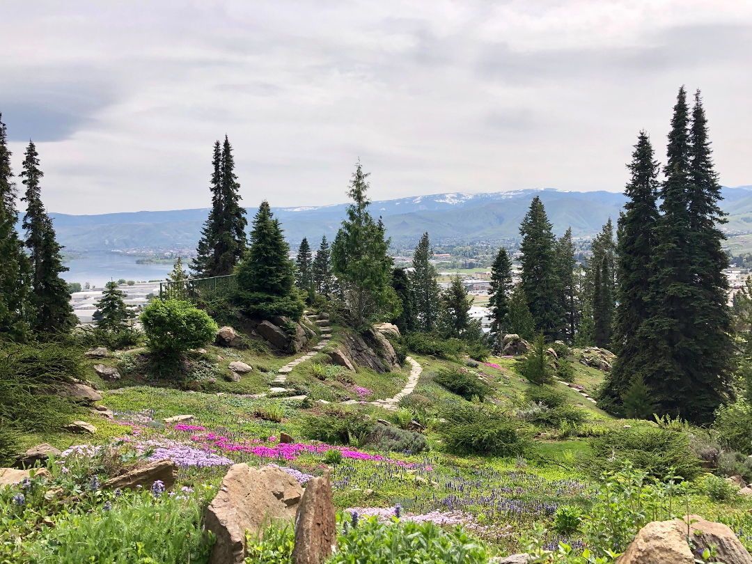A field of flowers and trees with a lake in the background.