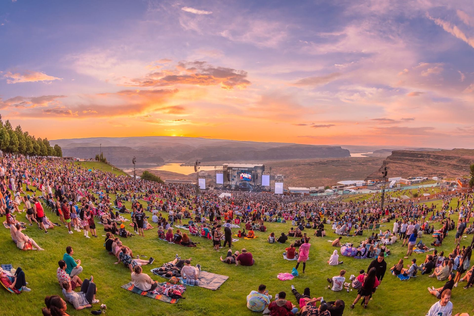 A large crowd of people are sitting in the grass at a concert.
