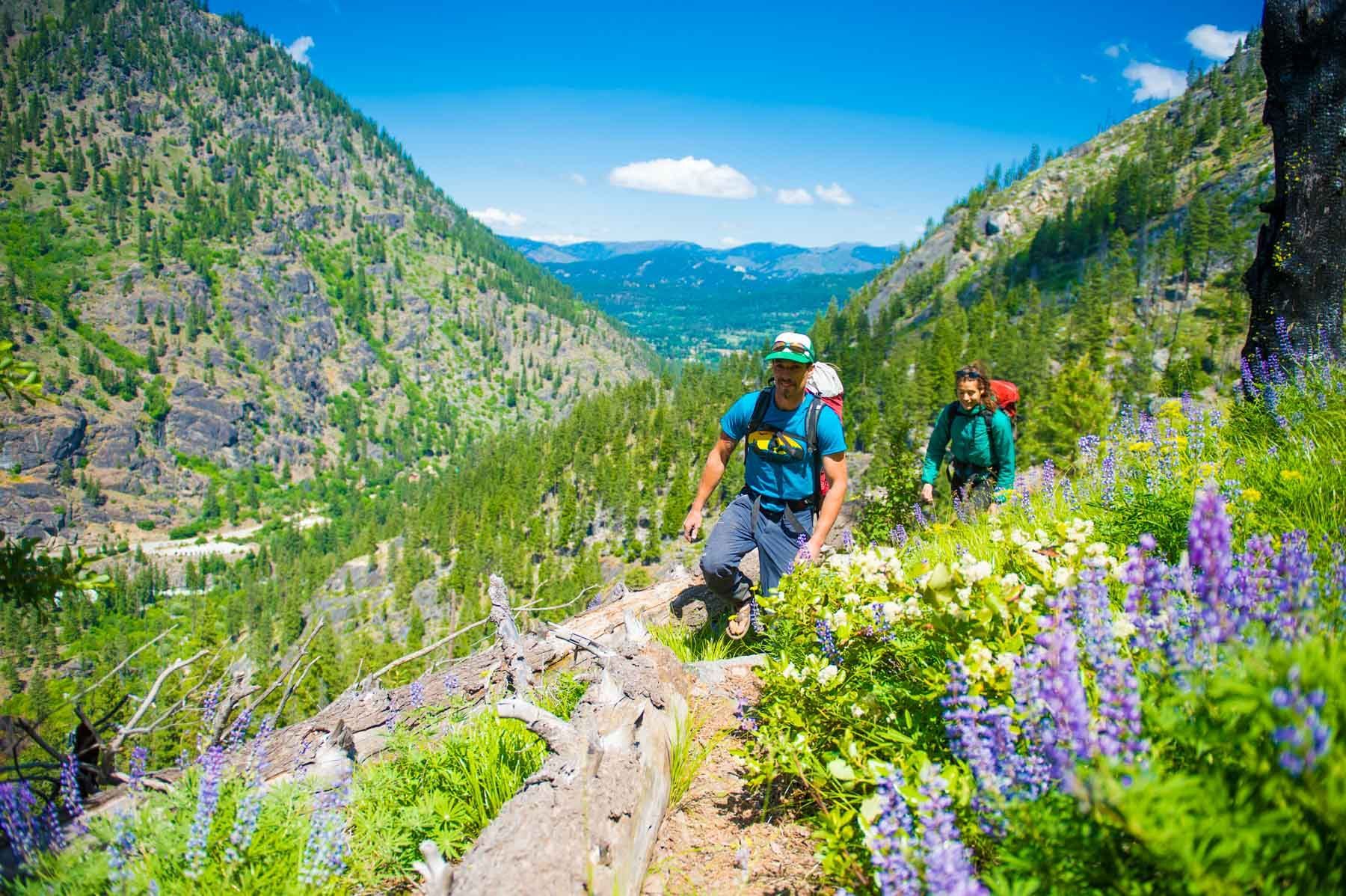 A group of people are hiking down a trail in the mountains.