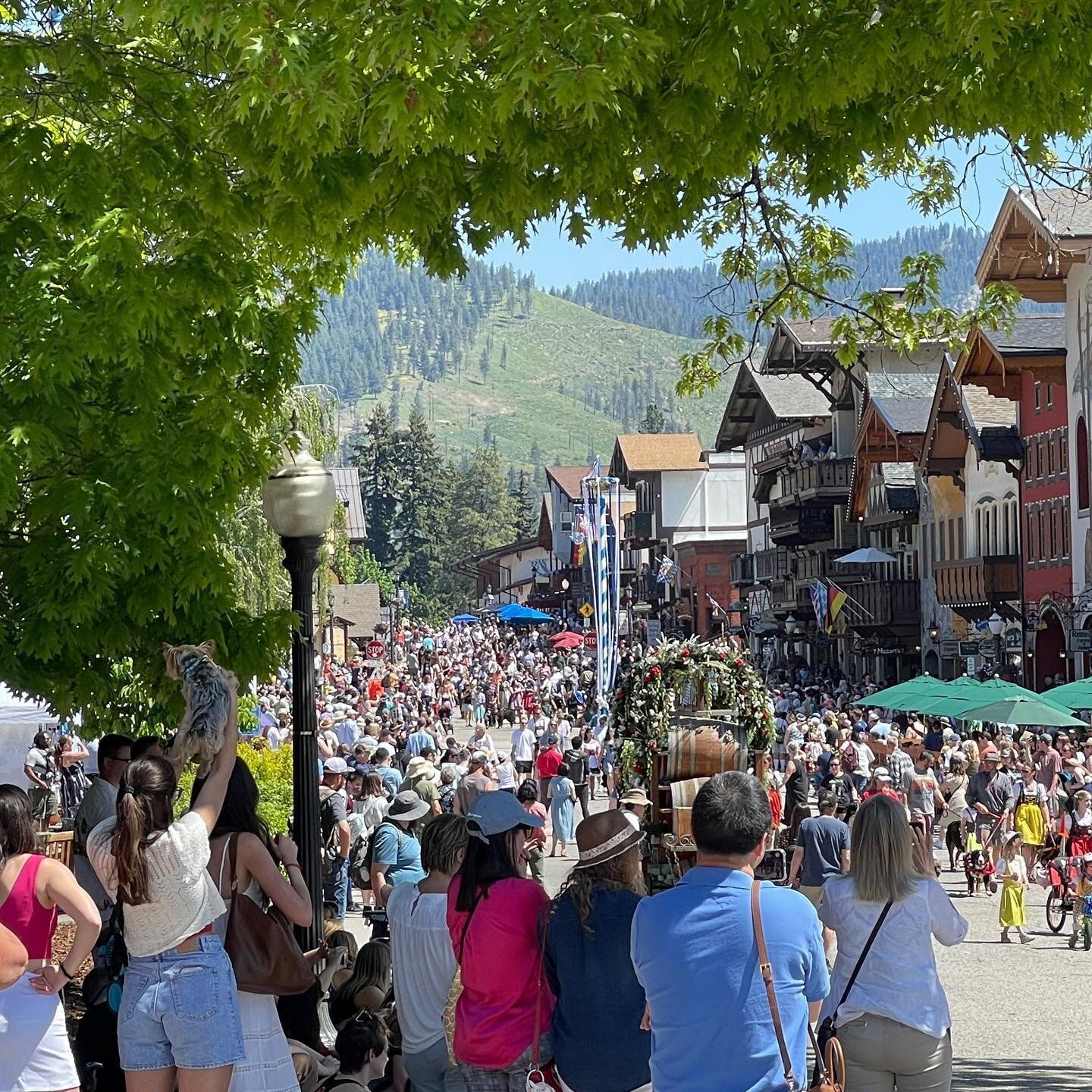 A crowd of people are walking down a street in a city.