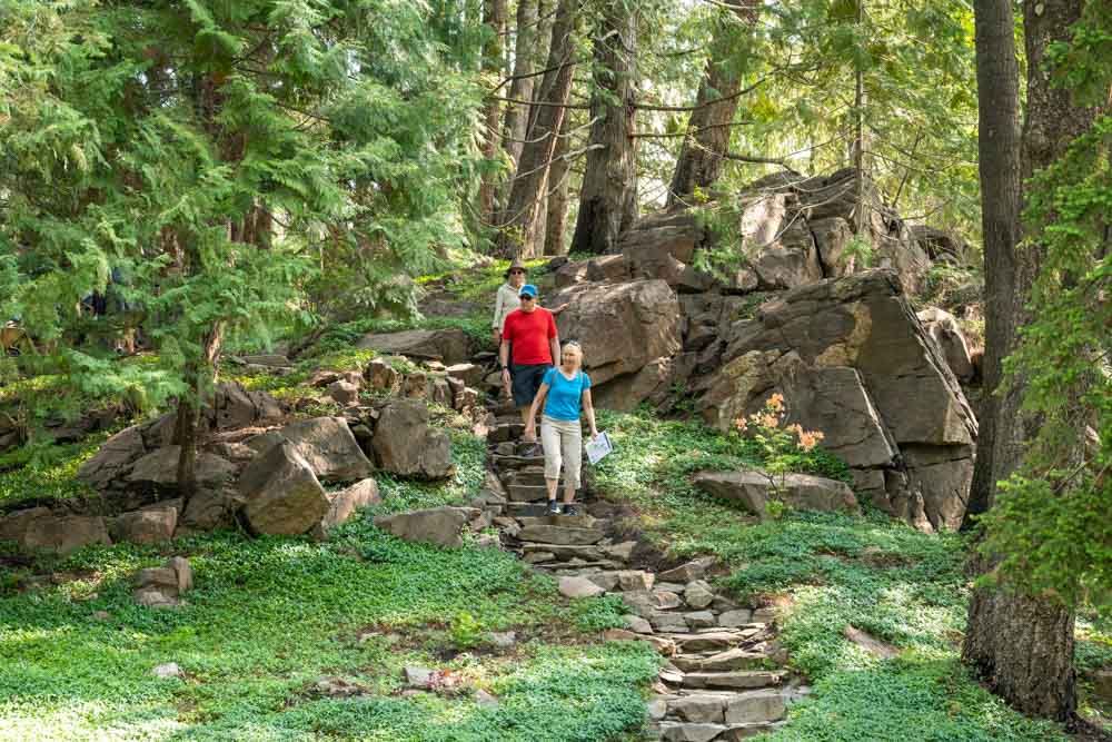 A group of people are walking up a set of stairs in the woods.