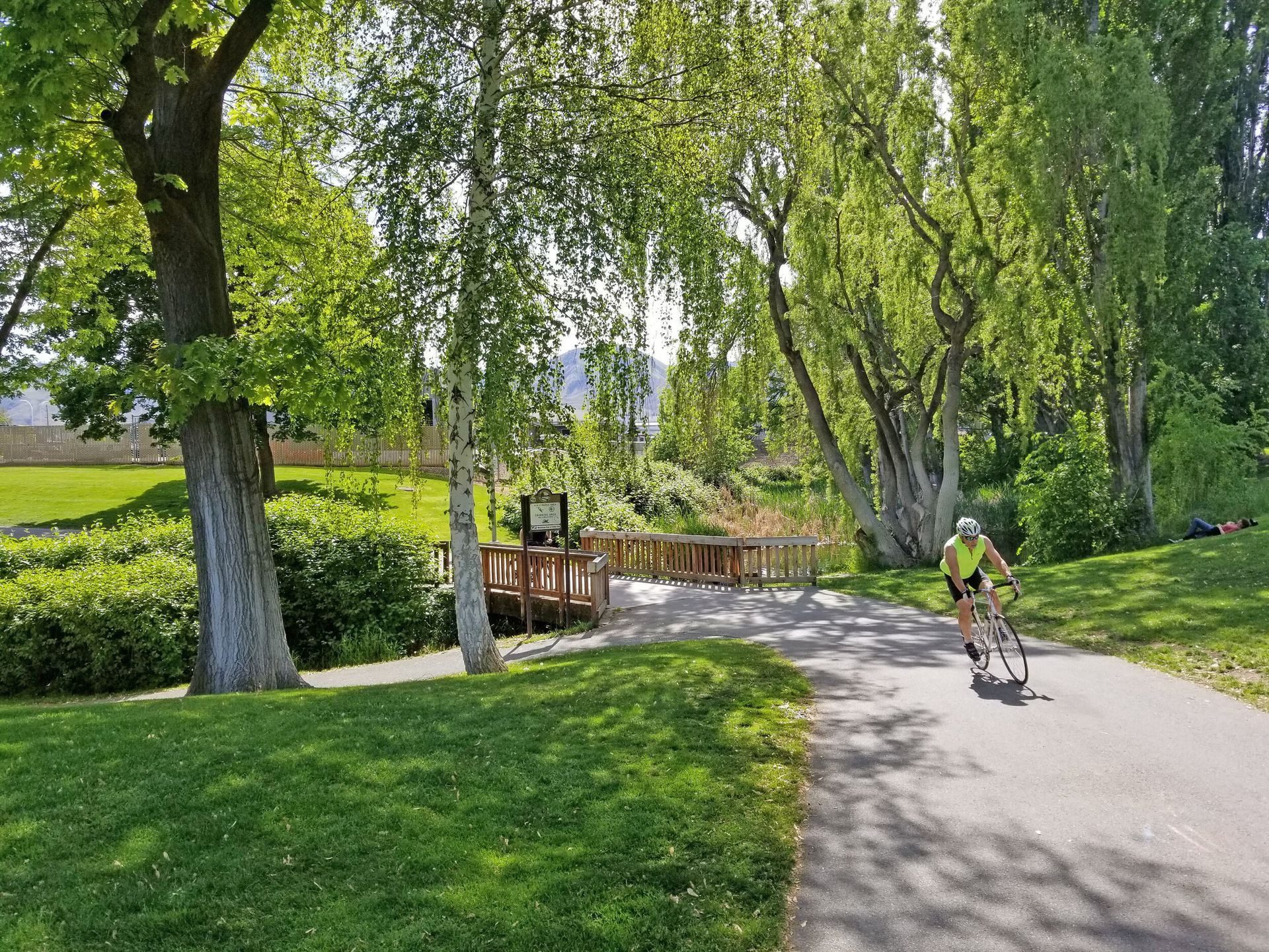 A person is riding a bike down a path in a park.