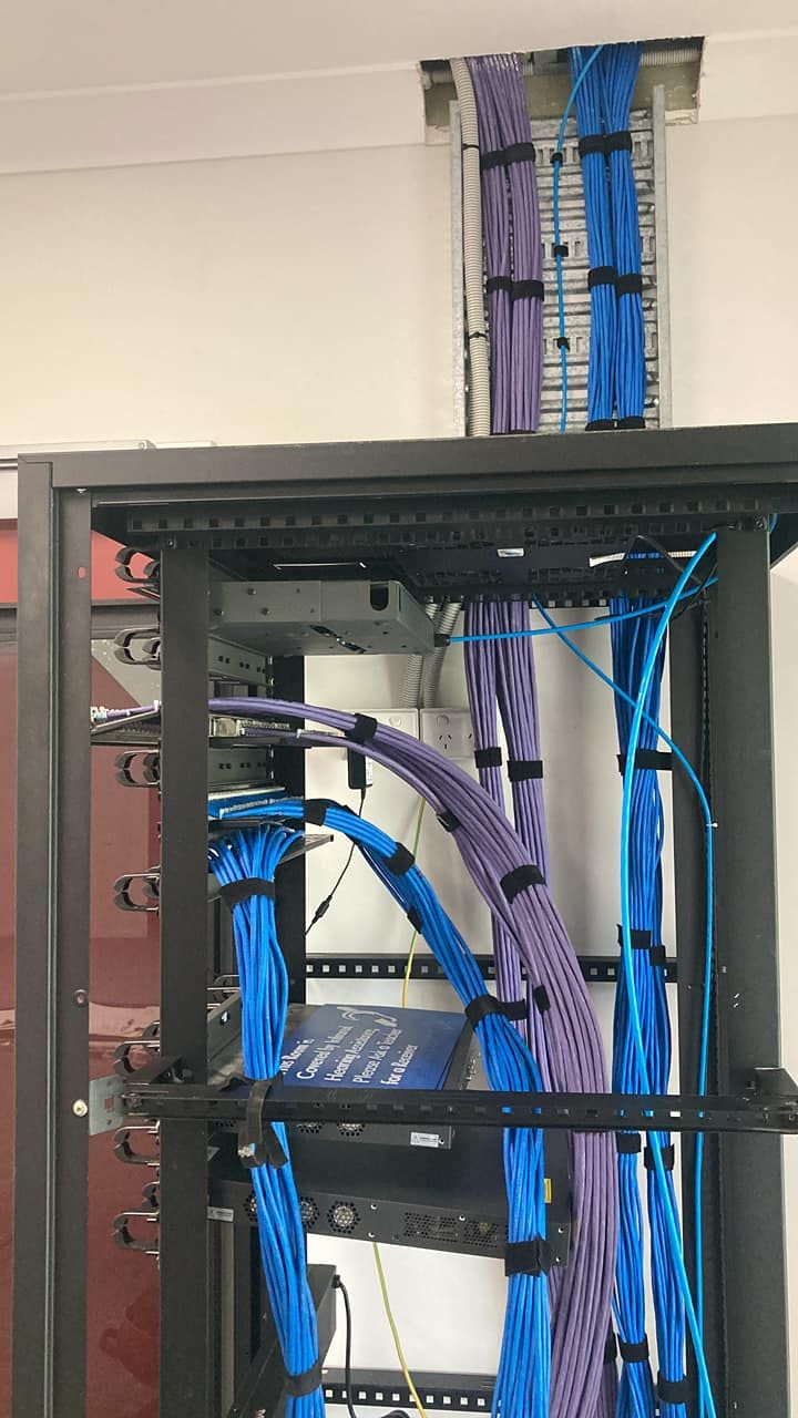 Network rack with neatly organized blue and purple network cables — Jendata In Garbutt, QLD