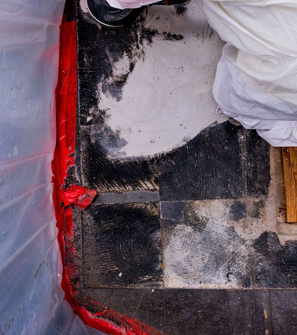 Will Isopropyl Alcohol Kill Mold