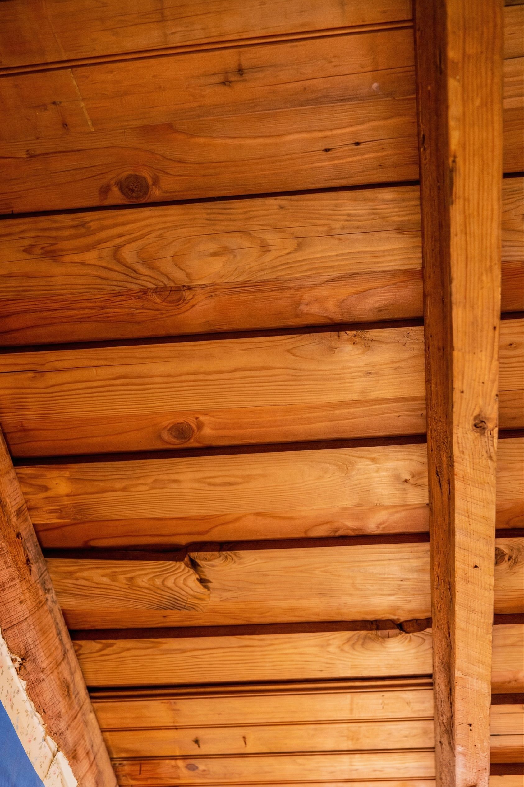 Wooden ceiling with exposed beams and warm orange-brown planks, viewed from below