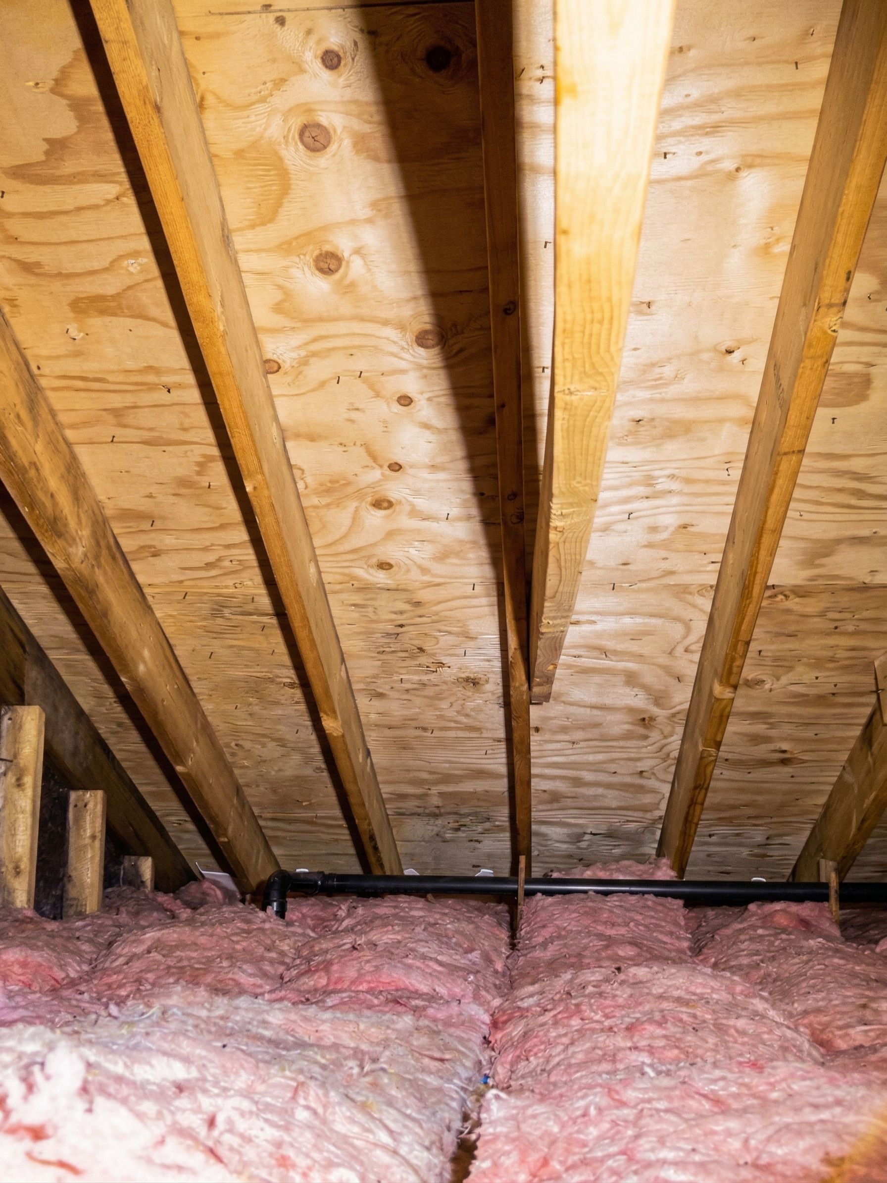 Attic roof framing with exposed wooden rafters and pink fiberglass insulation along the floor