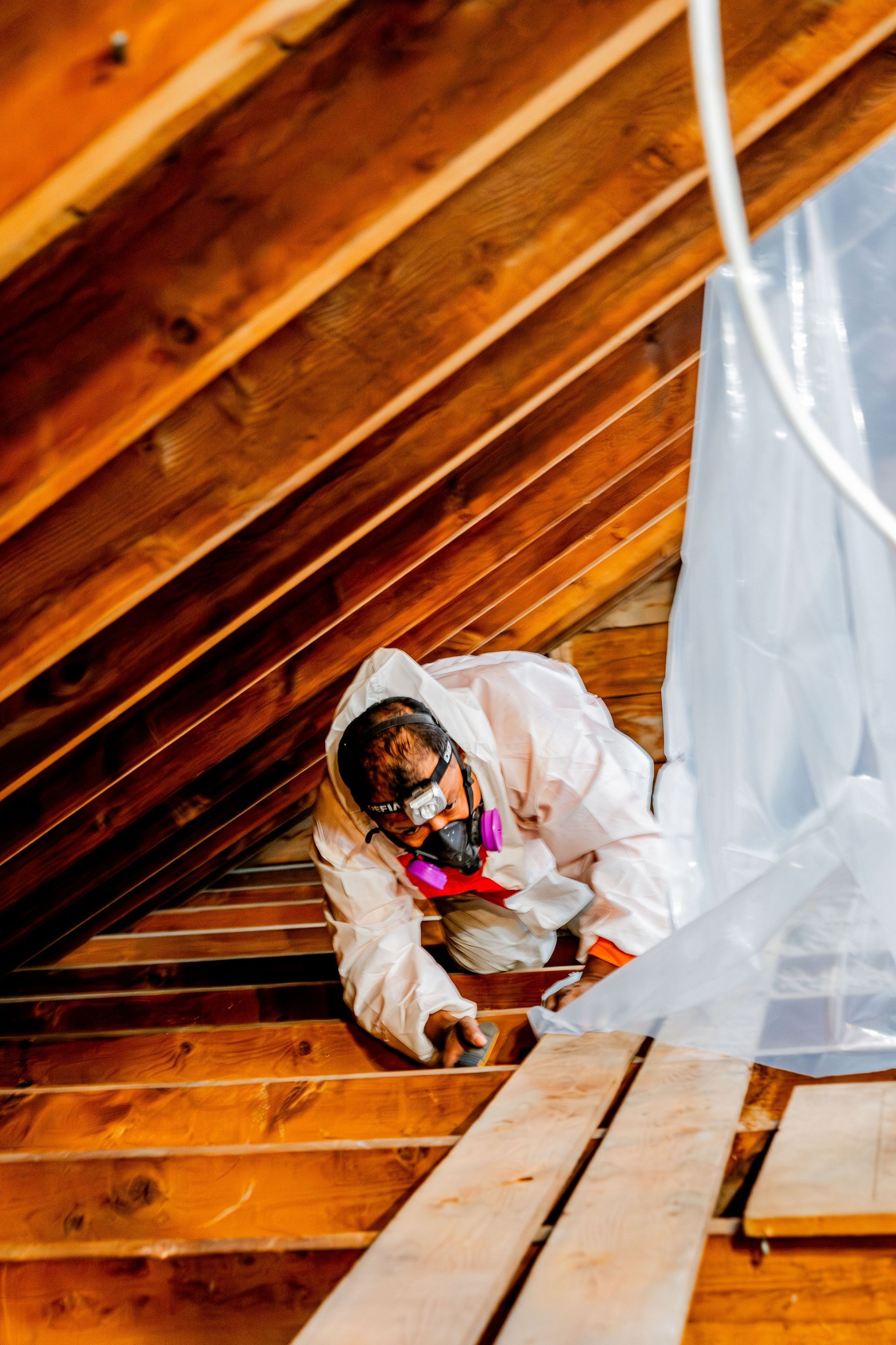 Person in protective suit inspecting a wooden attic with white plastic sheeting