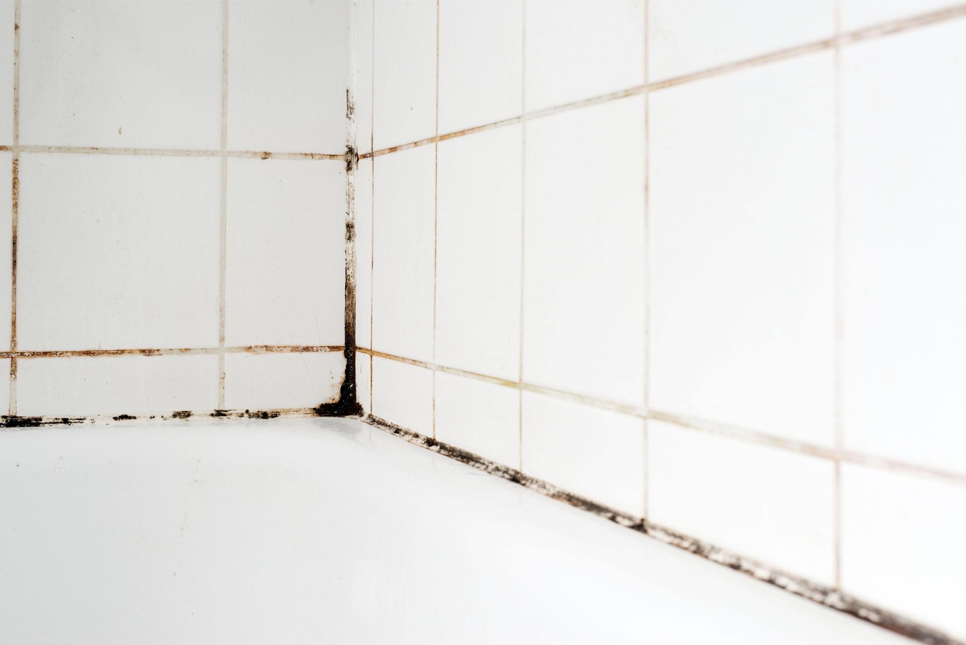 mold growing in grout lines in bathroom
