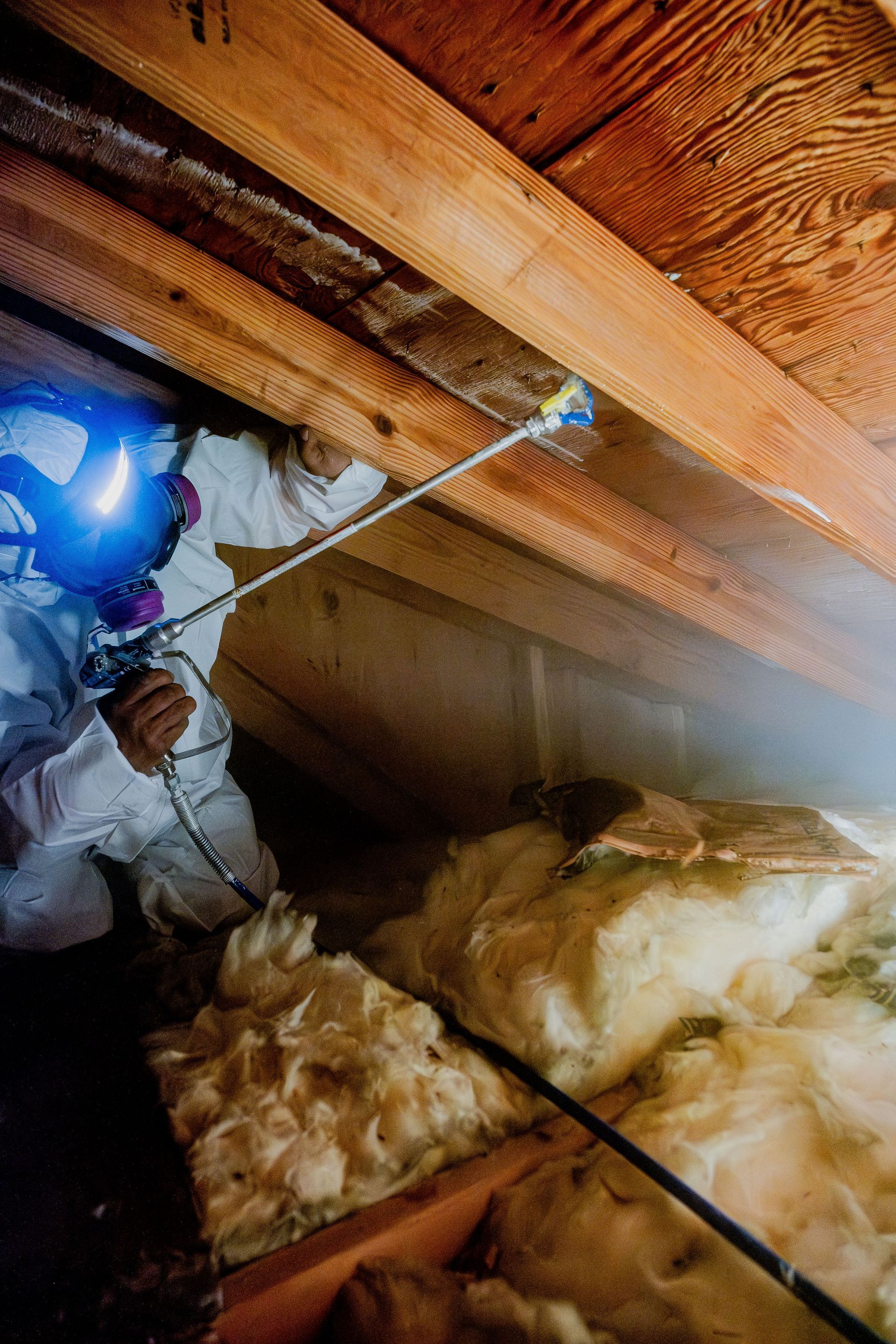 Worker in helmet inspecting attic insulation with a tool under exposed wooden beams