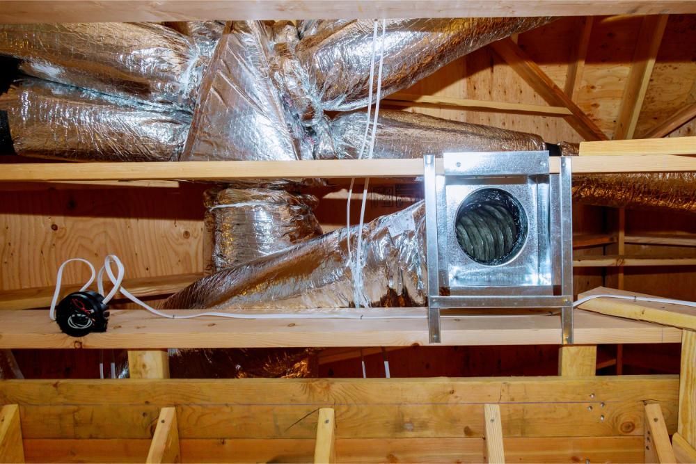 hvac vent mold removal