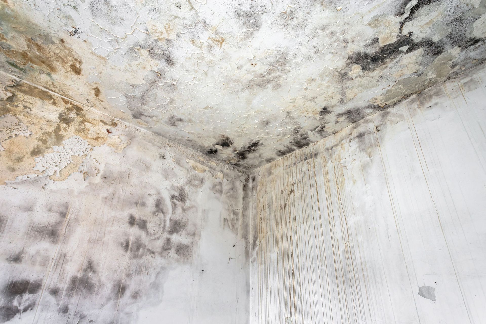 asbestos popcorn ceiling