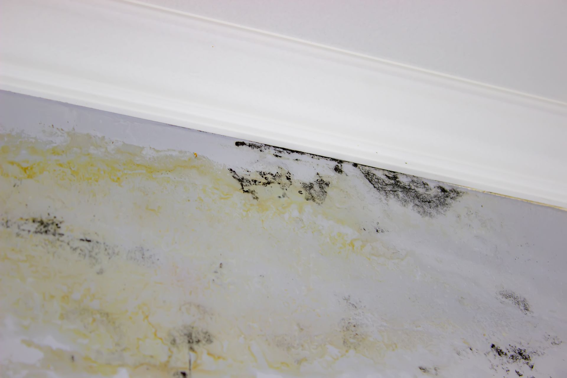 Close-up of a stained white wall with yellow discoloration and black mold near the ceiling trim