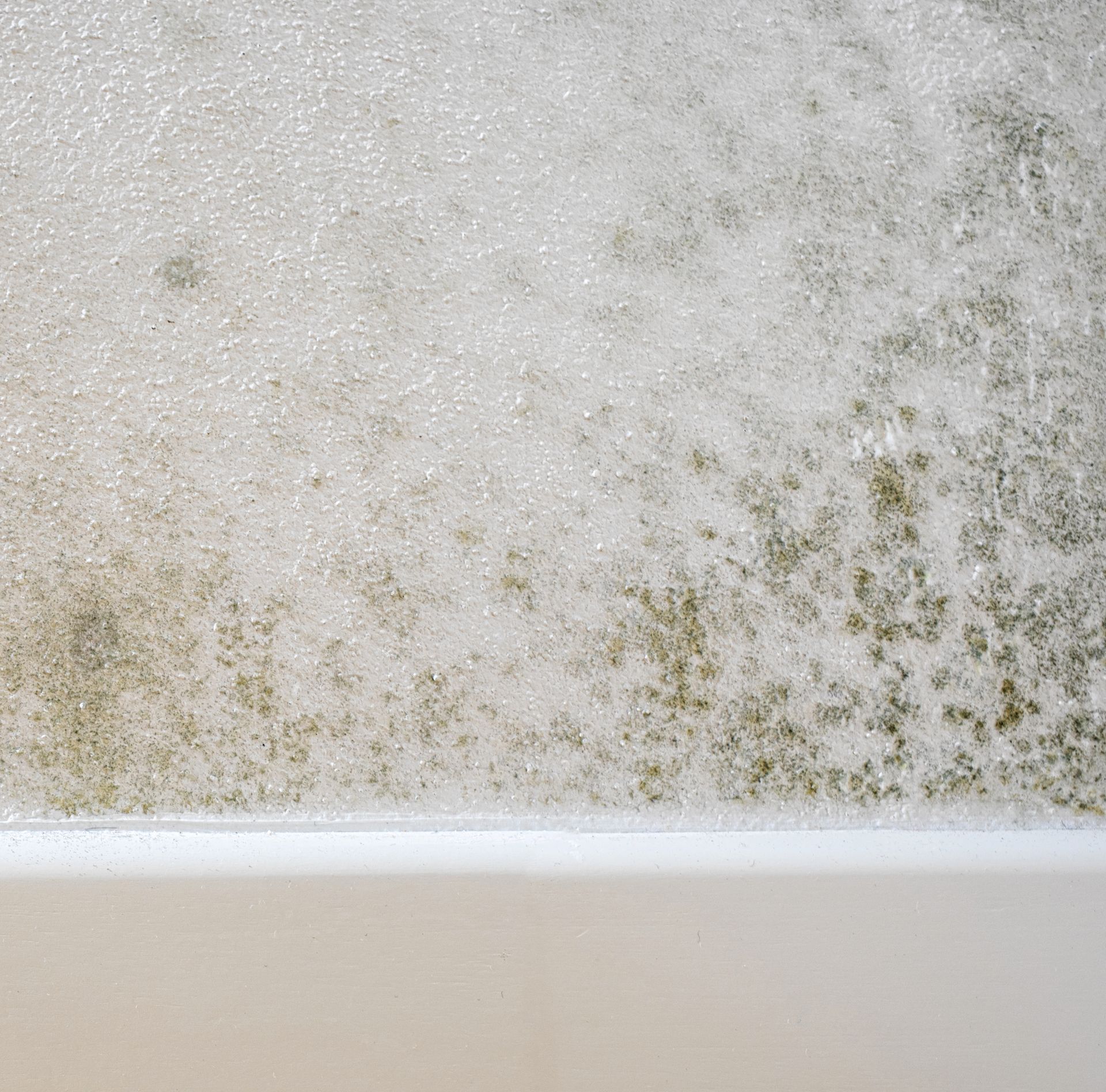 Mold and mildew spotting on a damp white wall above a baseboard