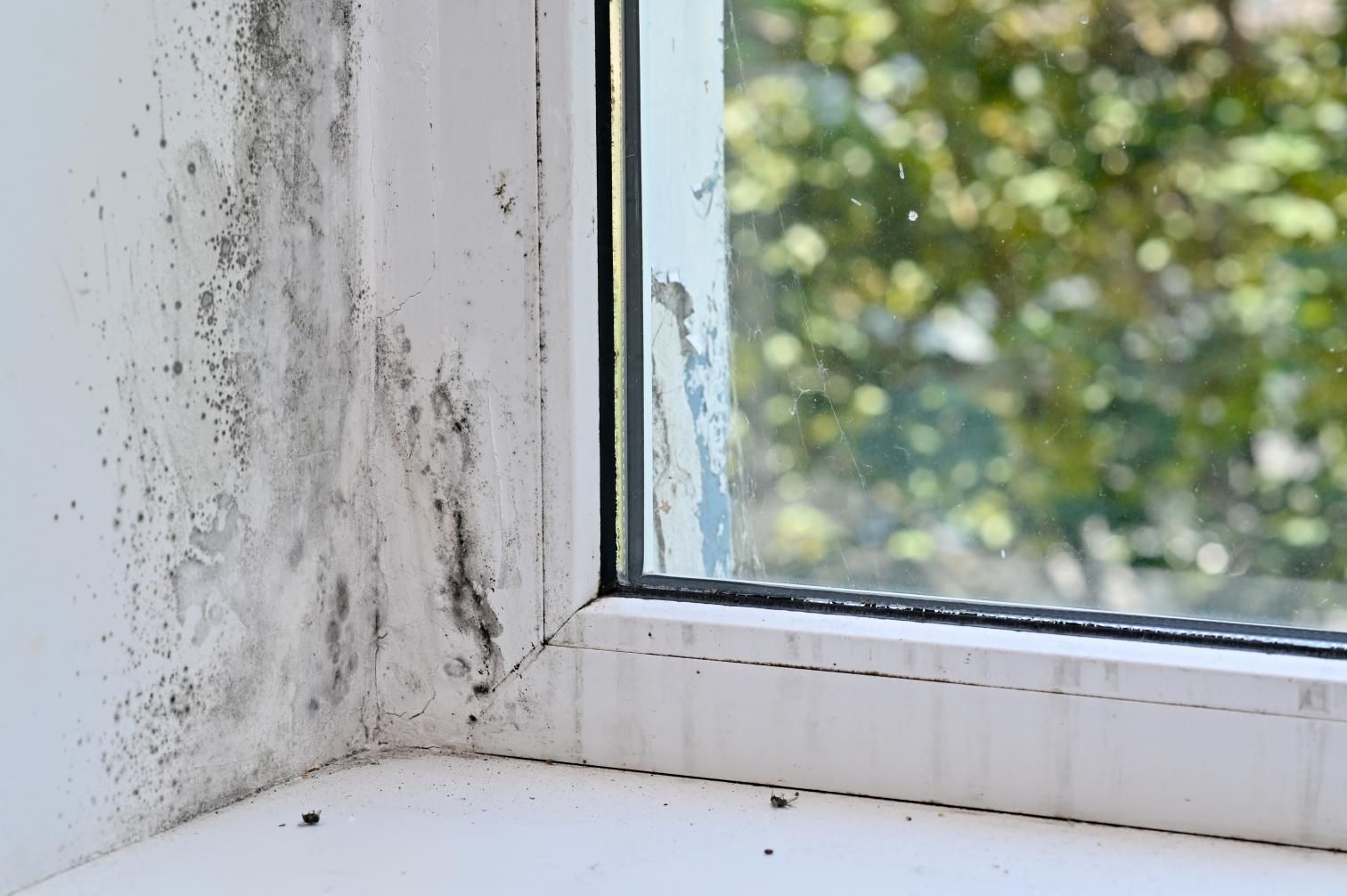 asbestos roof tiles