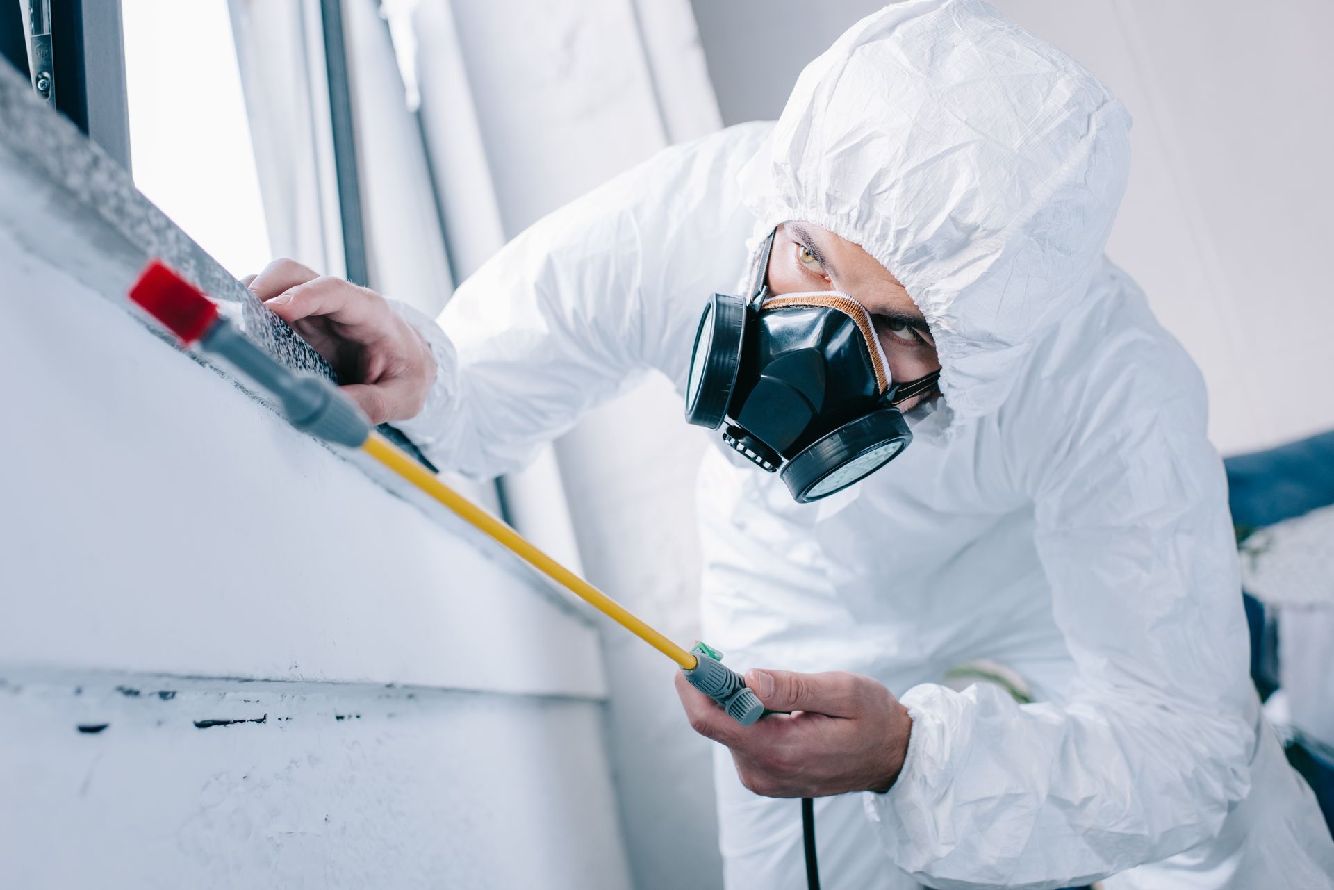Person in white protective suit and respirator painting a wall with a roller