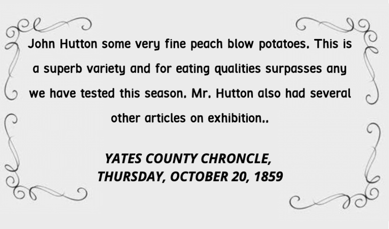 Vintage newspaper clipping praising John Hutton’s “very fine” potatoes, Yates County Chronicle, Oct. 20, 1859