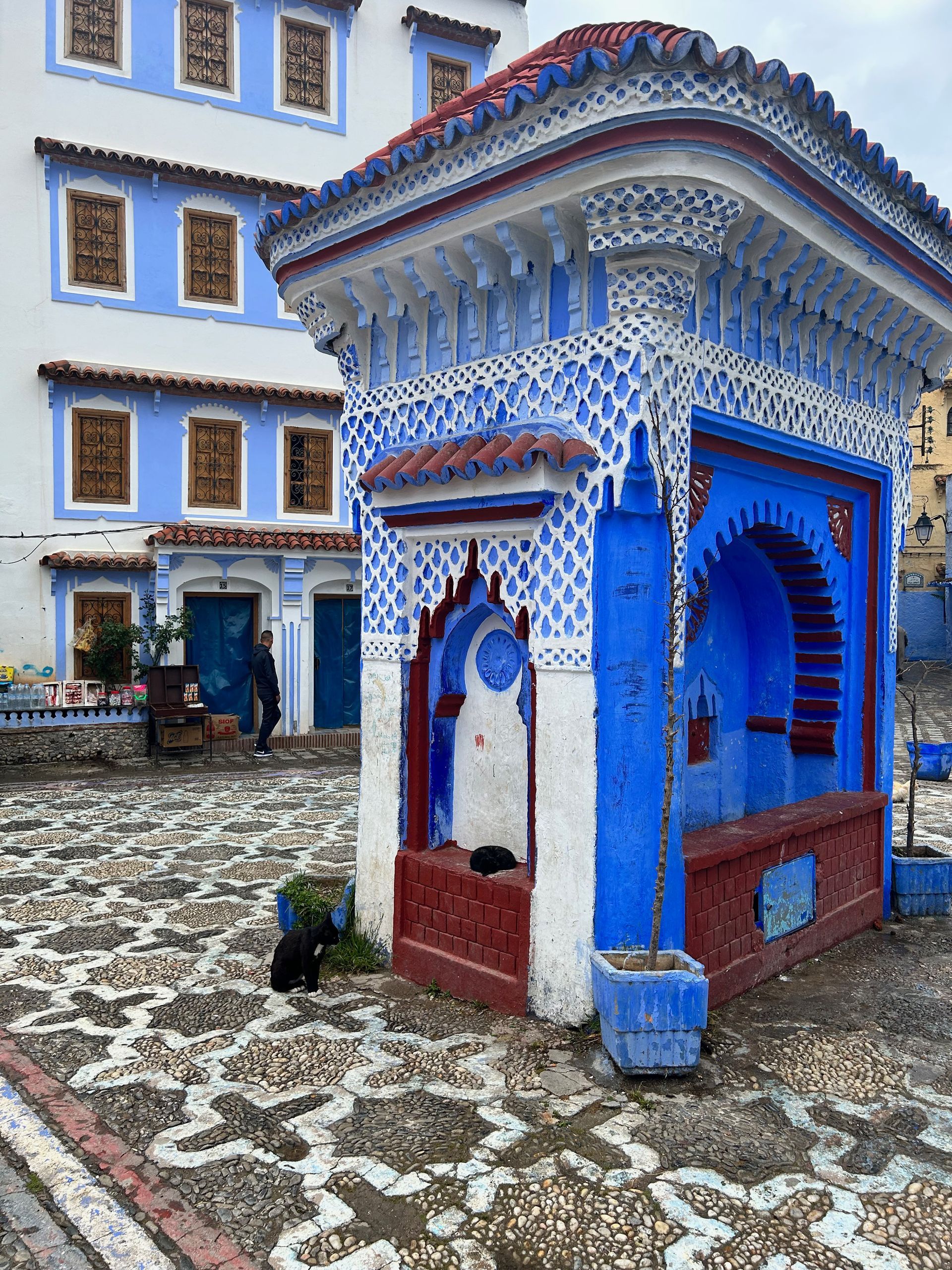 Een dagje naar Chefchaouen