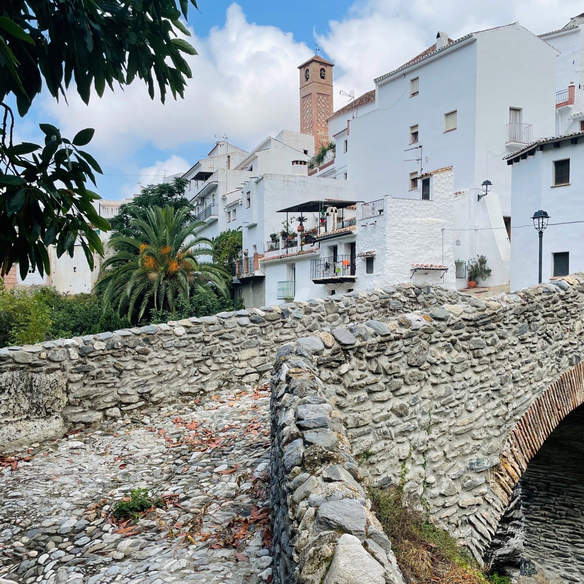 Salares