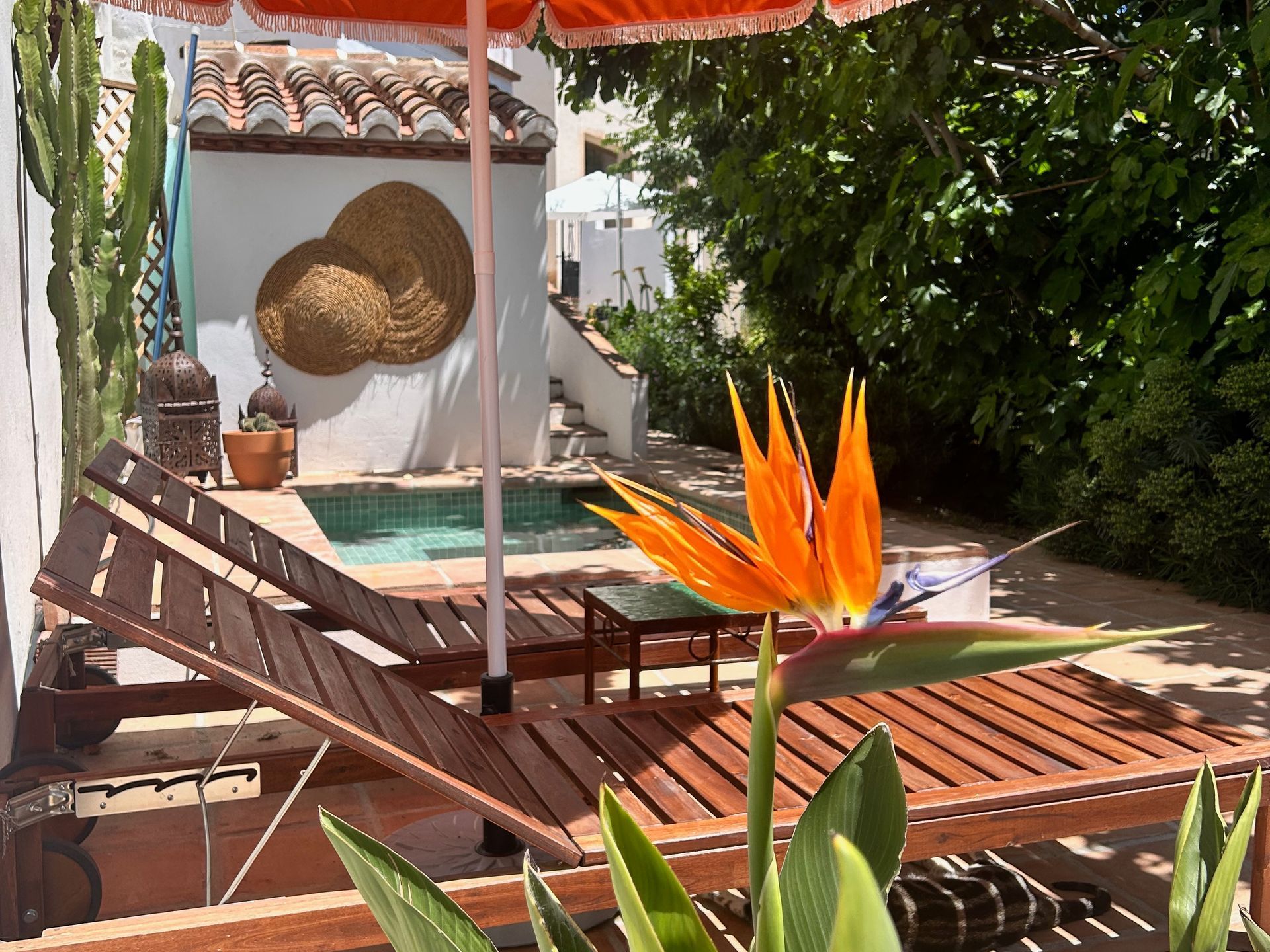 De zonnebedden naast het dompelbad in de tuin van La Casita Secreta