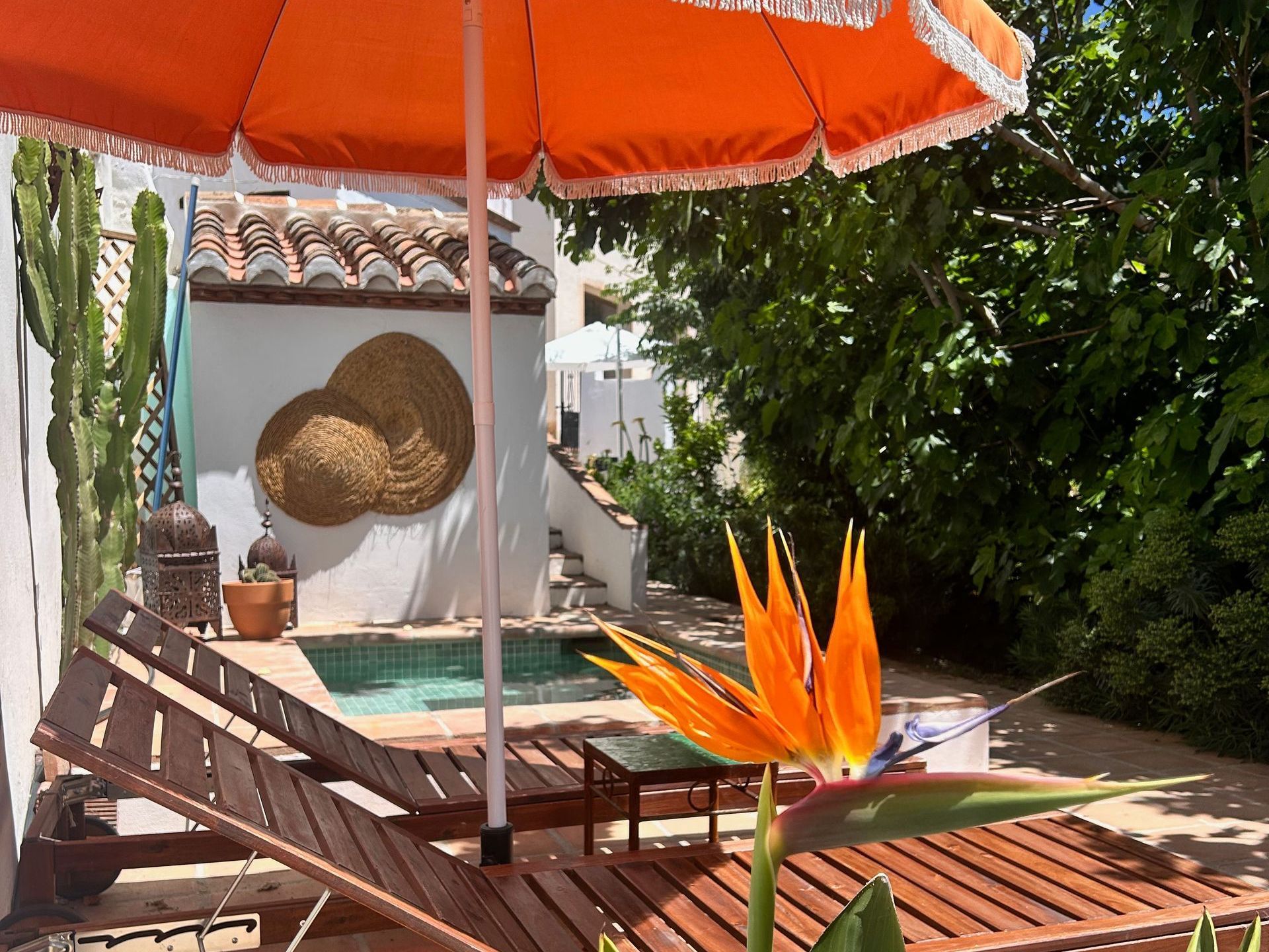 Het dompelbad met ligbedden in de tuin van La Casita Secreta