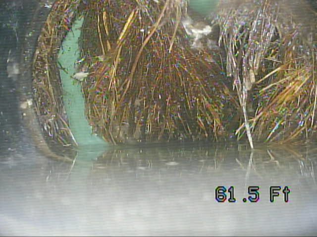 CCTV view of a clogged green pipe with tangled debris and water buildup, marked 61.5 ft.