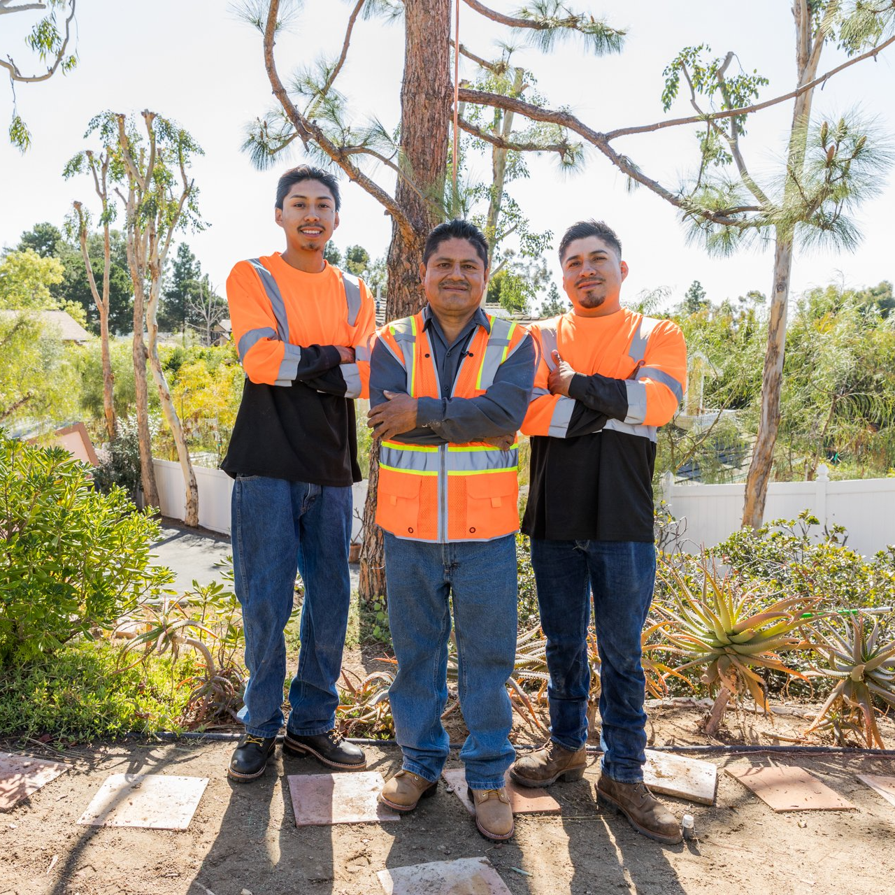 mc tree service team