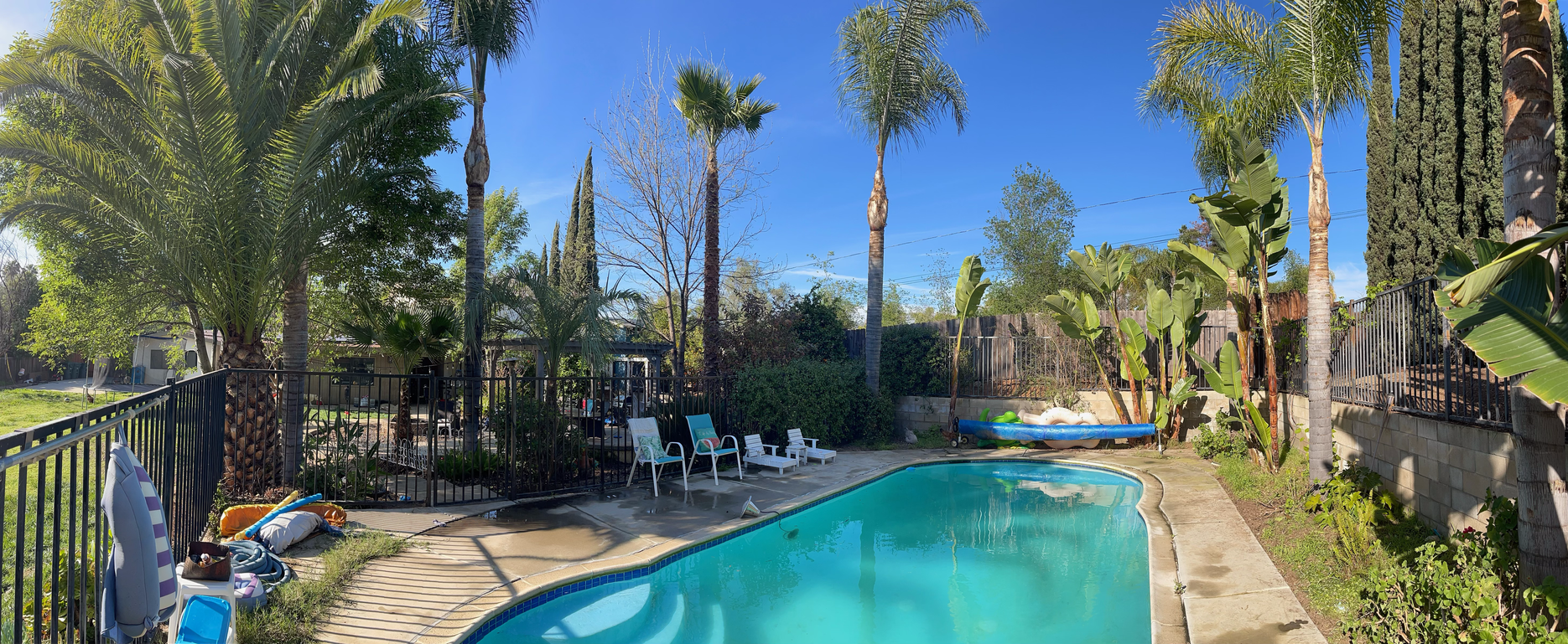 Residential-Tree-Trimming-San-Diego-MC-Service