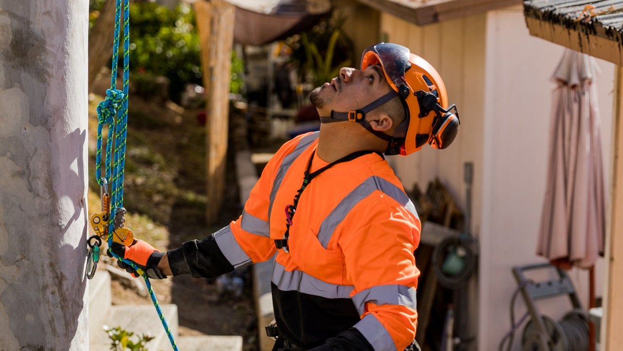 emergency tree services san diego