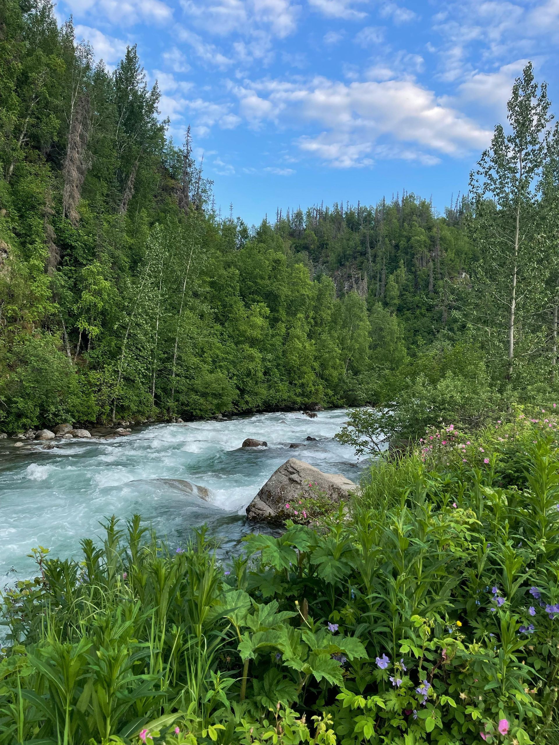 A turquoise river flows through lush green vegetation and trees under a partly cloudy blue sky.
