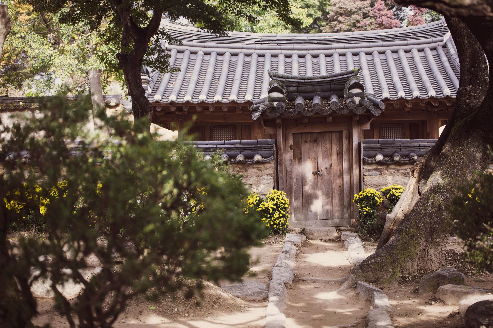 Traditional Korean wooden gate and building with tiled roof and stone path.
