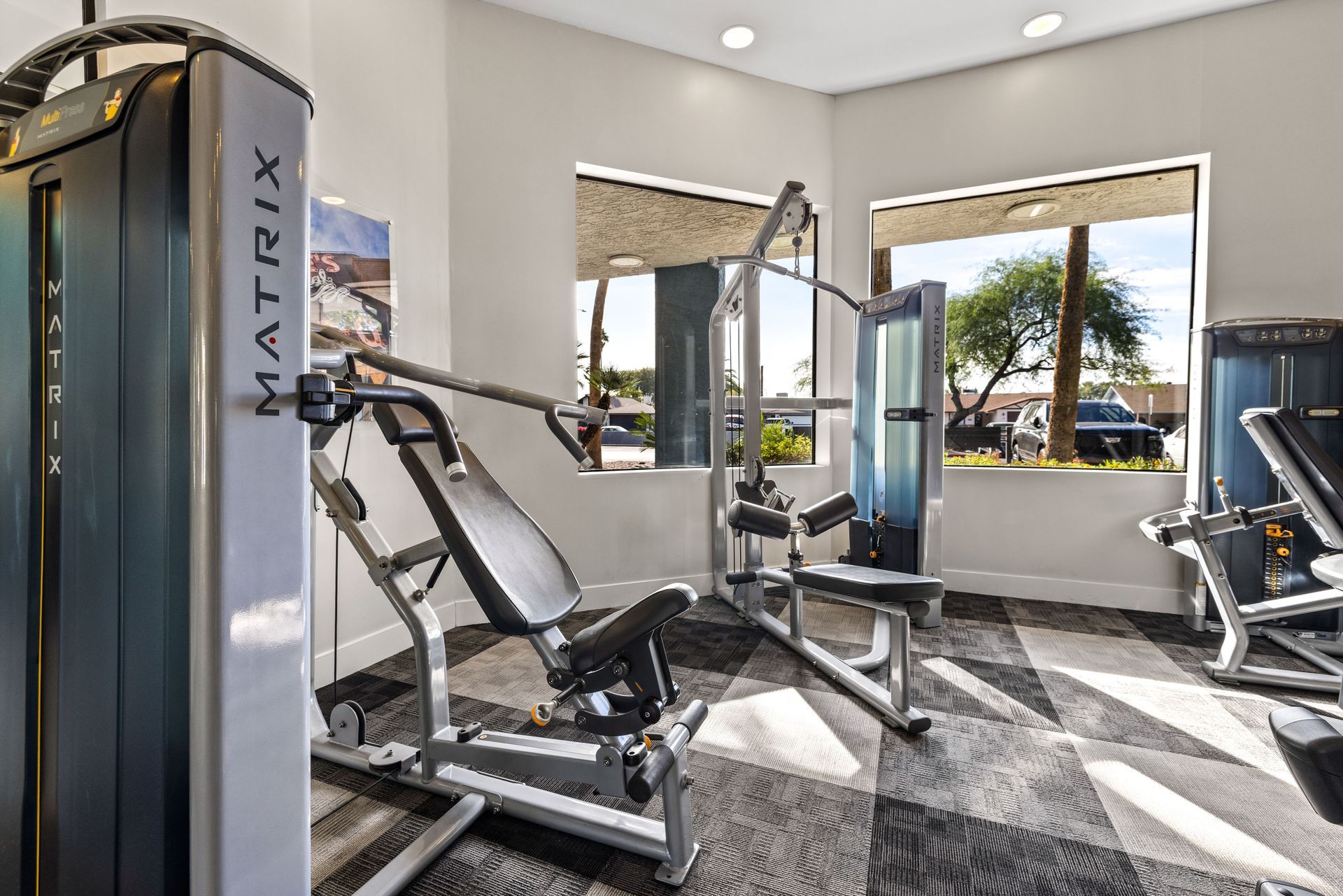 Gym with Matrix weight machine, windows, and patterned carpet.