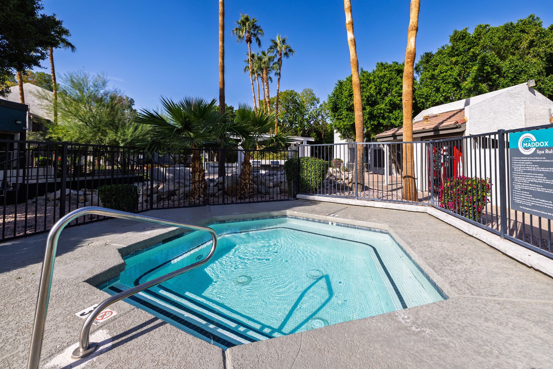 Hot tub surrounded by concrete and a black fence, with palm trees in the background.