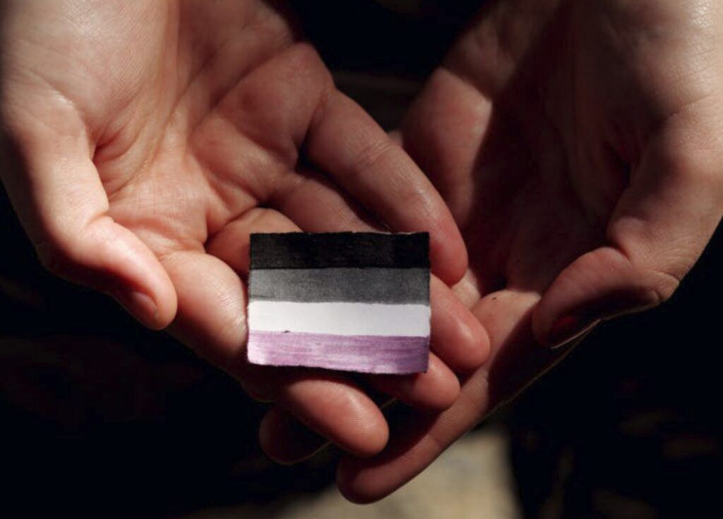 Hands holding a small black, white, and lavender striped object on a dark background