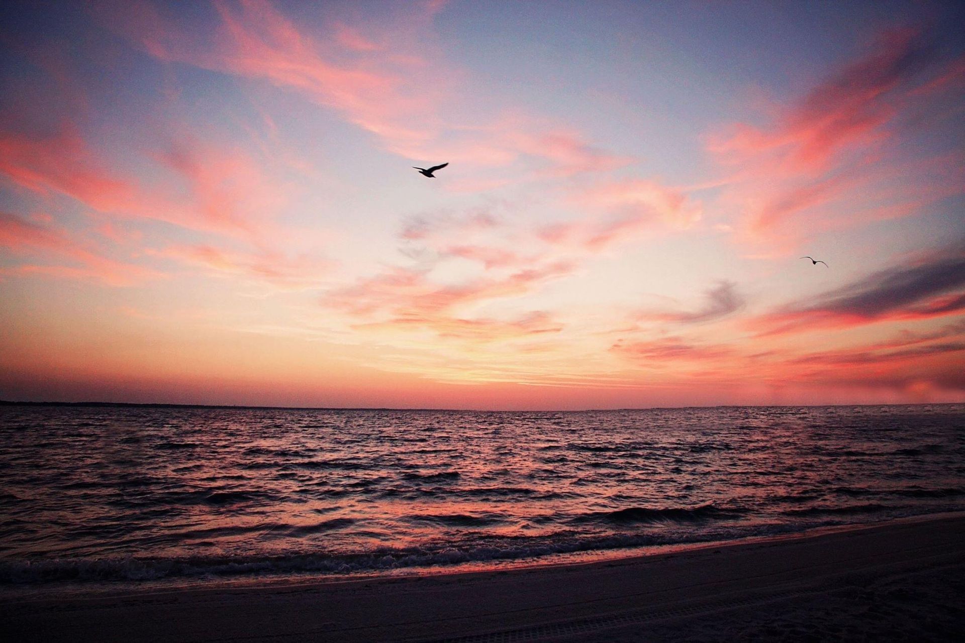 Sunset over a calm ocean with pink clouds and two birds in the sky
