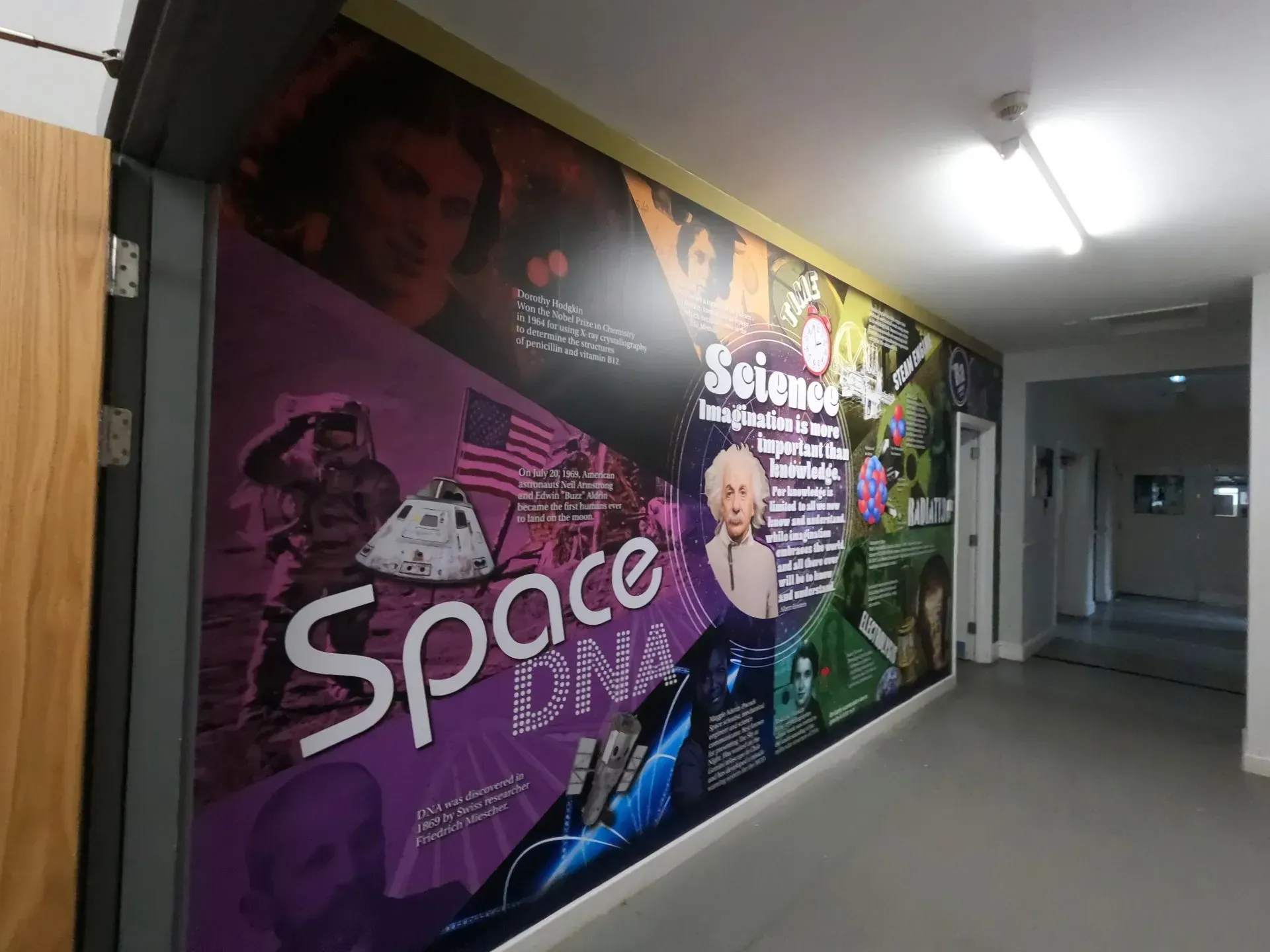Science Wall Graphics