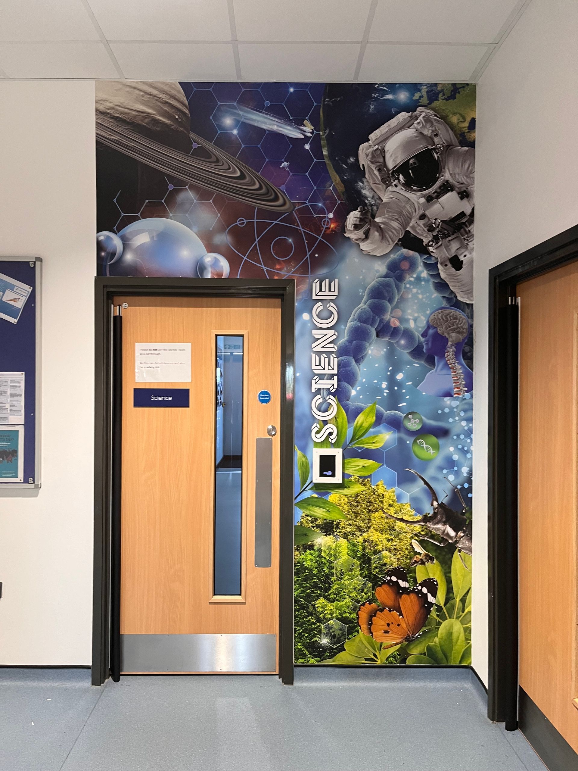 Door Vinyl Graphics