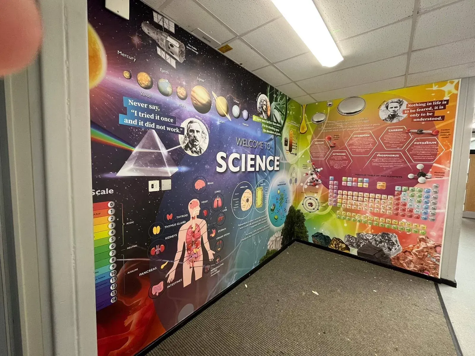 Science Wall Graphics