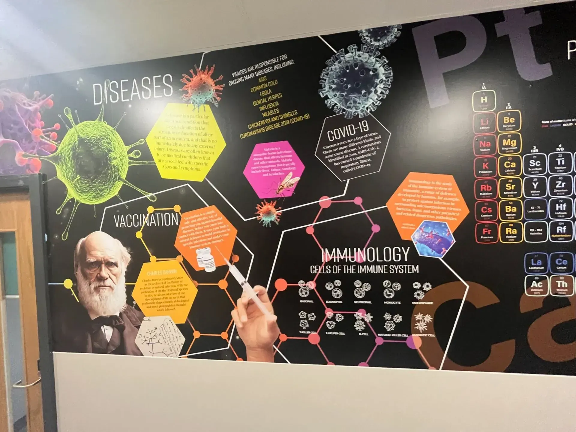 Science Wall Graphics