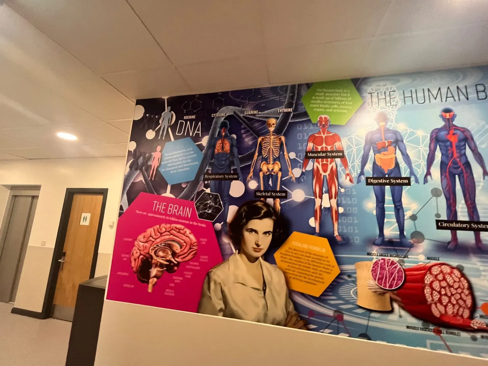 Science Wall Graphics