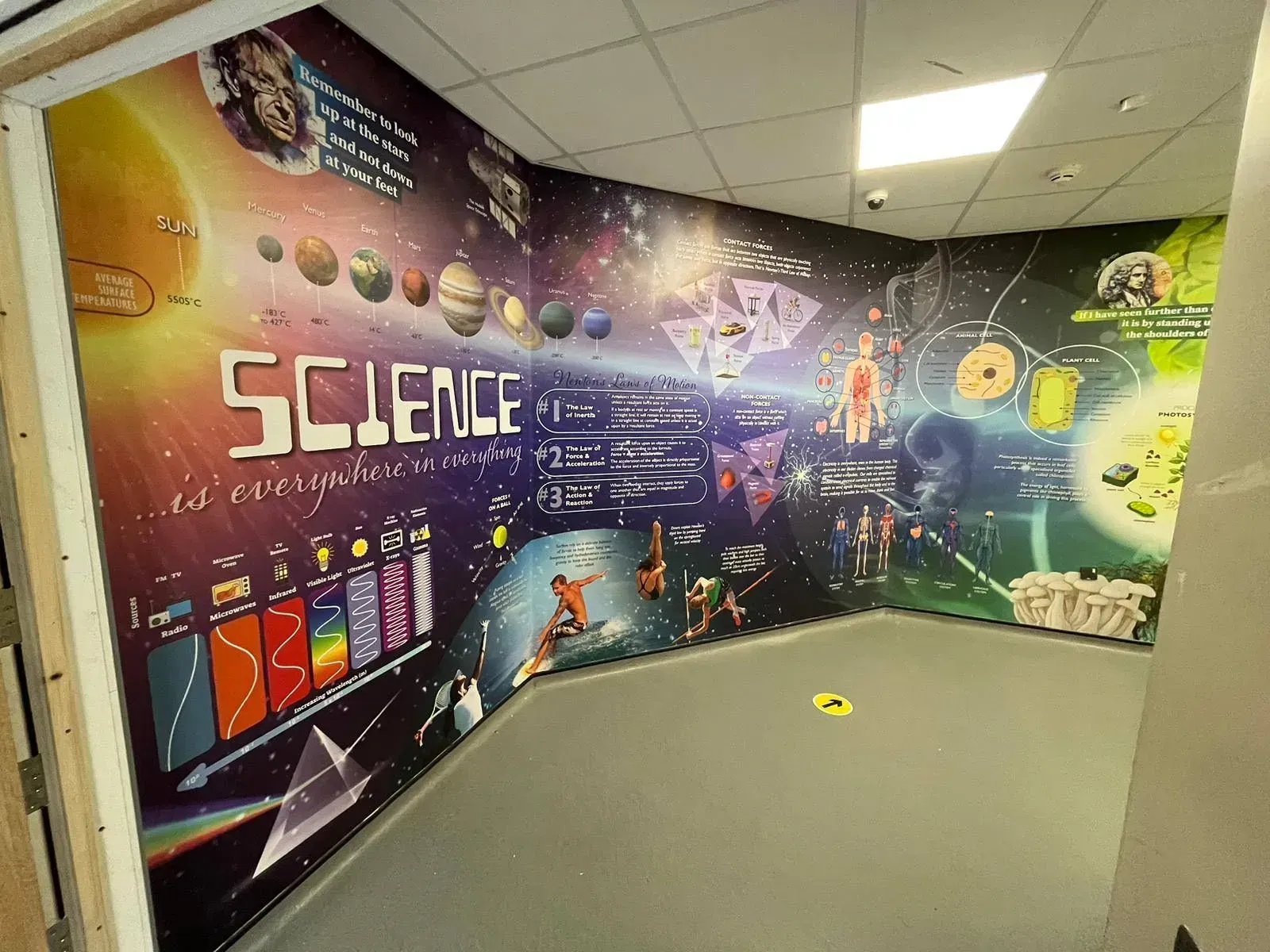 Science Wall Graphics